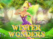 Winter Wonders